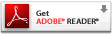 ADOBE READER